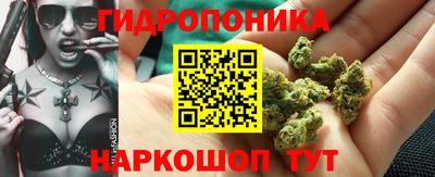крисы Кимры