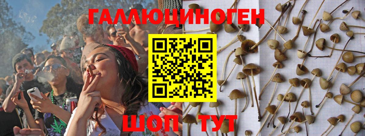 Галлюциногенные грибы мицелий Кузнецк